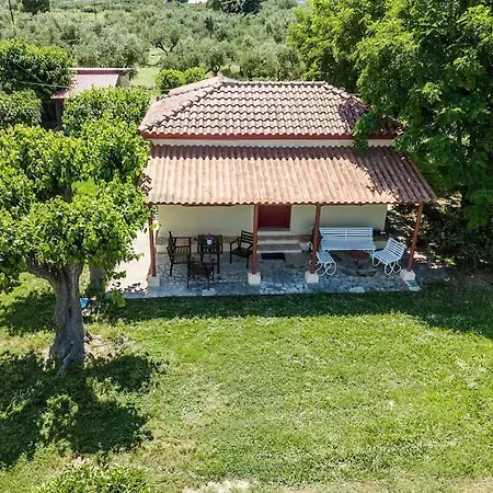 Authentic In Zakynthos *