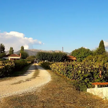 Authentic In Zakynthos Feriehus *