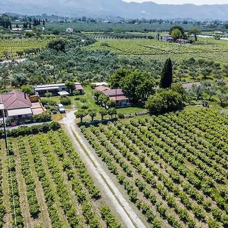 Authentic In Zakynthos By Filos Inc *