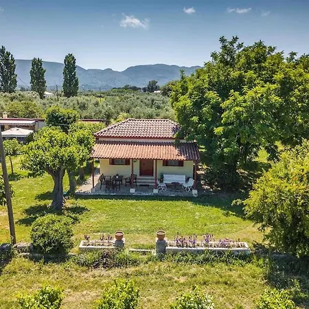Authentic In Zakynthos * Ambelokipoi (Zakynthos)
